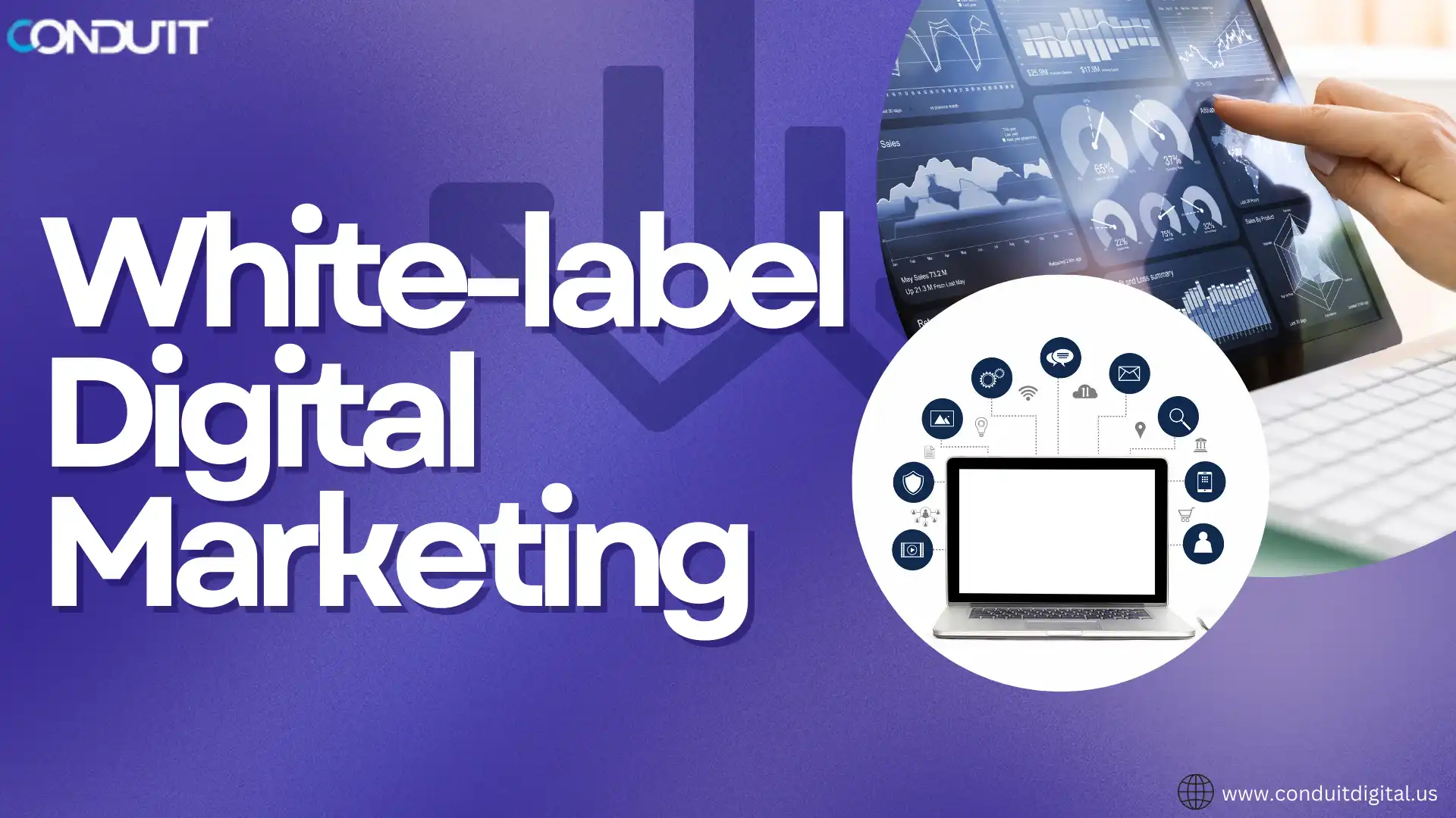 white label digital marketing